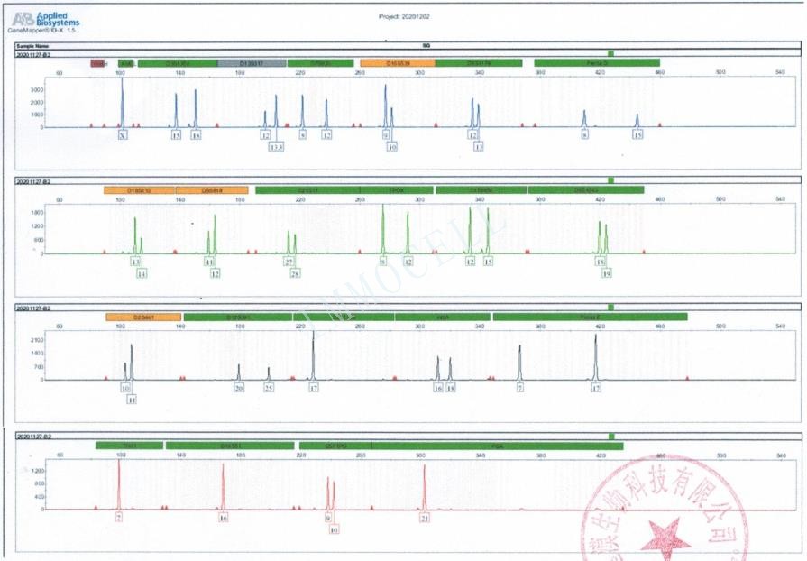 HELA细胞STR鉴定位点图片