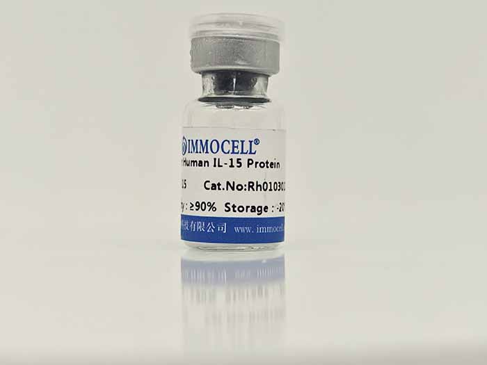Human IL-5