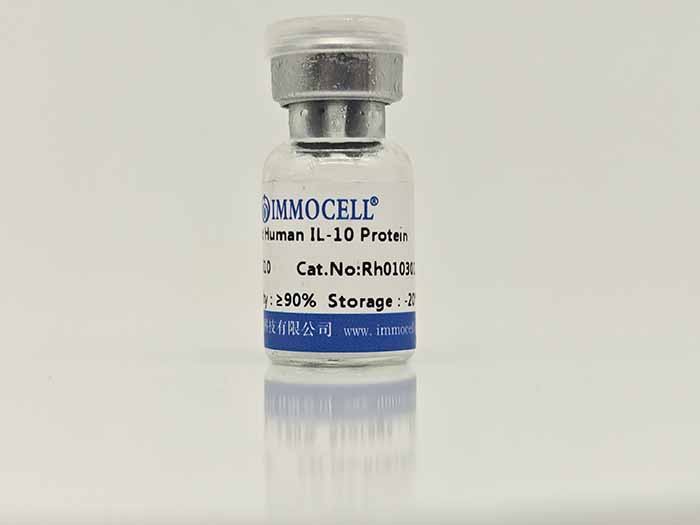 Human IL-10