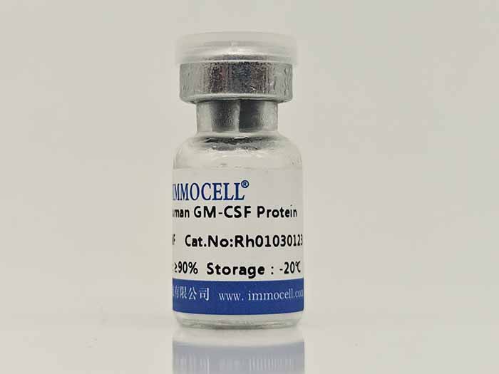 Human GM-CSF