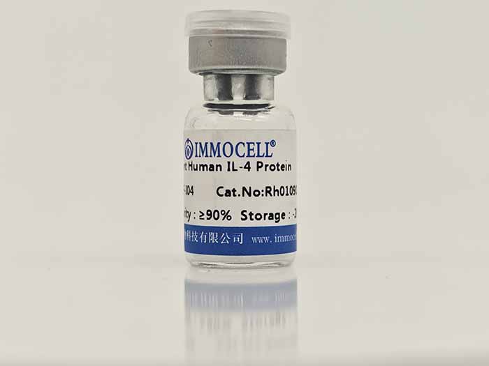 Human IL-4