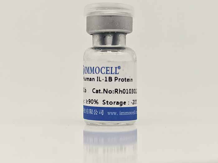 Human IL-1B