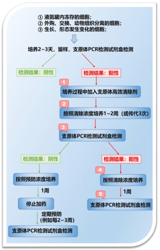 清除支原体污染操作规程