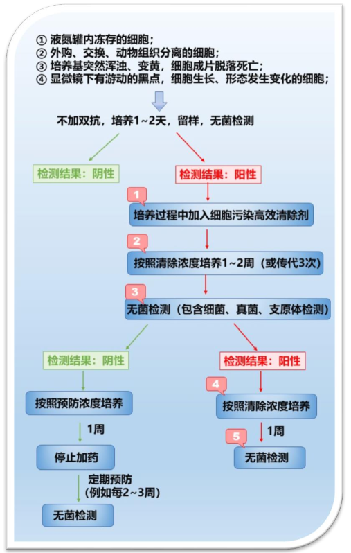 细胞污染高效清除剂操作流程图