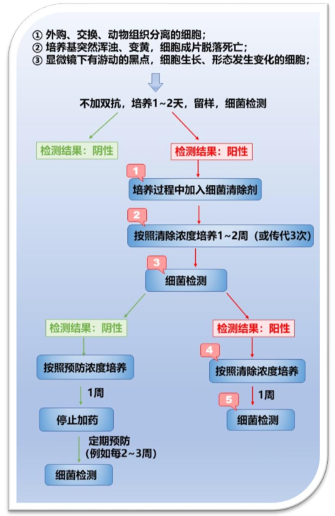 预防细菌污染实验流程图