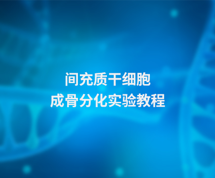 间充质干细胞成骨分化实验教程