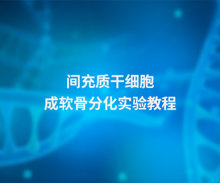 间充质干细胞成软骨分化实验教程