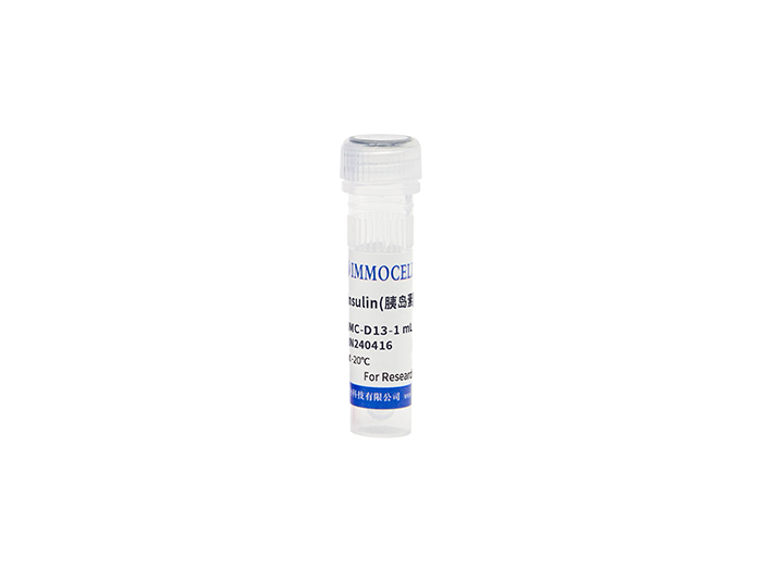 Insulin（胰岛素）
