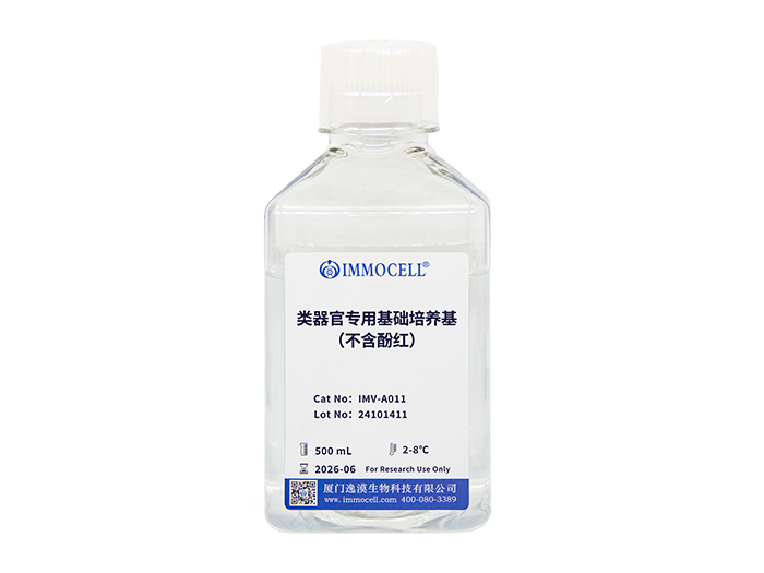类器官专用基础培养基（不含酚红）