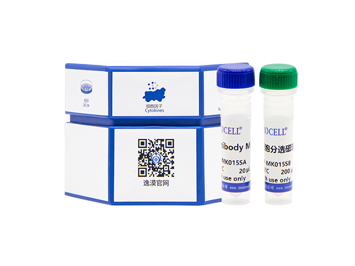 小鼠脾脏CD3+T细胞分离试剂盒（阴选）