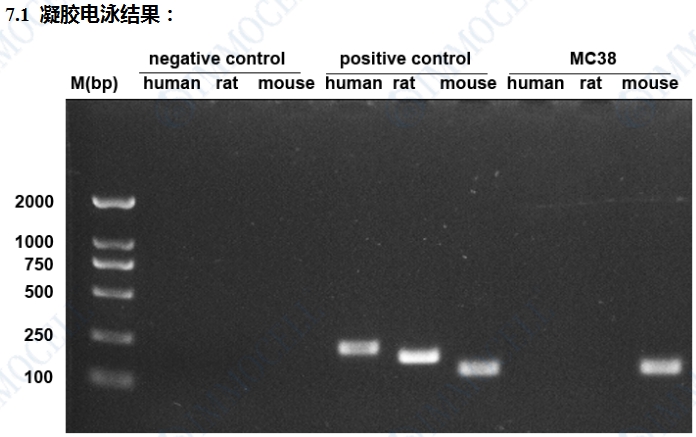 微信截图_20250324150523.jpg