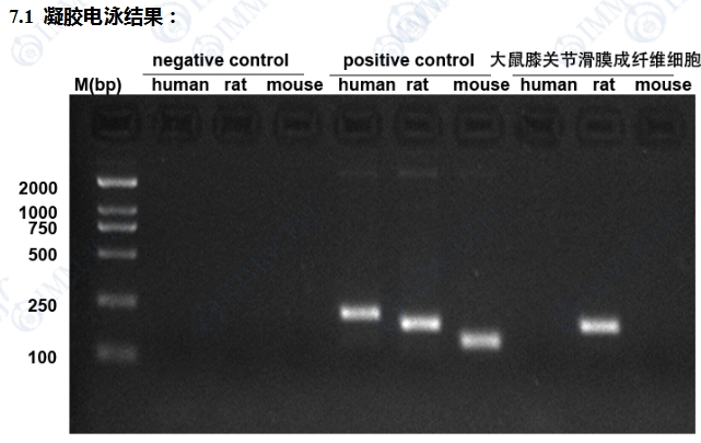 微信截图_20250331135726.png