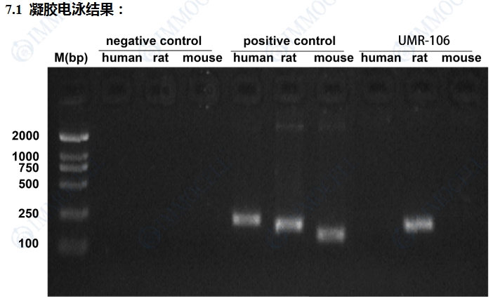 微信截图_20250403112656.png