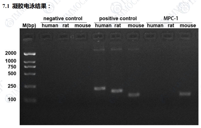 微信截图_20250409112251.png