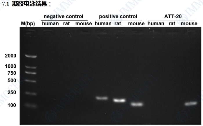 微信截图_20250508142012.png