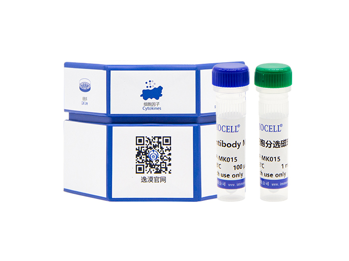 小鼠脾脏CD3+T细胞分离试剂盒（阴选）