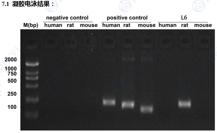 微信截图_20250514151642.png