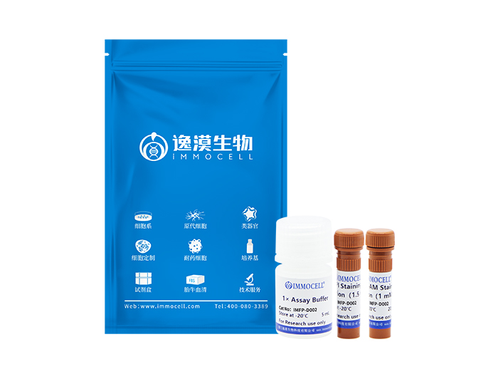 Calcein AM/ PI 细胞活性与细胞毒性检测试剂盒