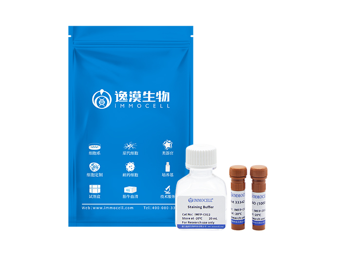 心磷脂绿色荧光染色试剂盒(NAO)