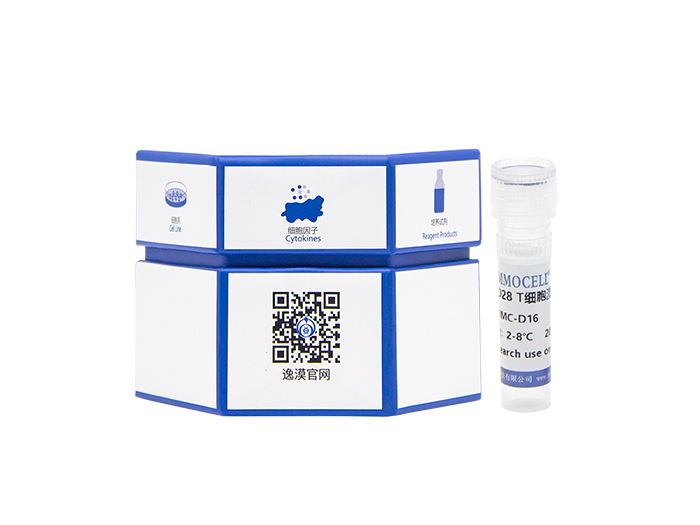 ​小鼠CD3/CD28 T细胞激活磁珠