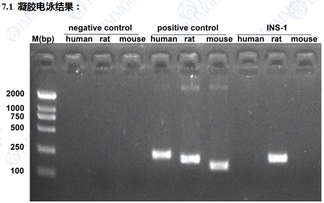微信截图_20250526150013.png