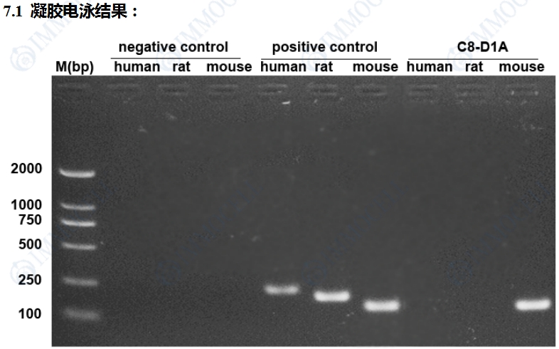 微信截图_20250617140612.png