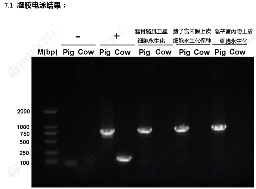 微信截图_20250630172322.png