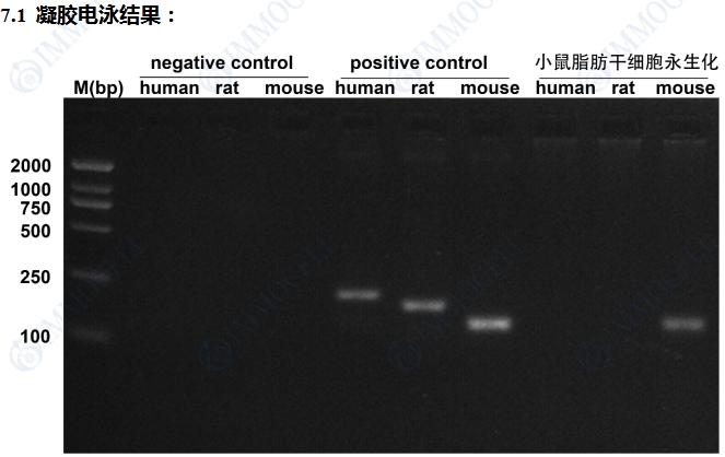 微信截图_20250704105000.png