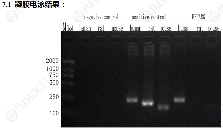 微信截图_20250715154131.png