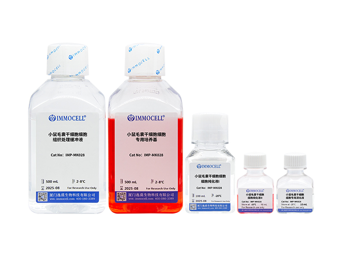 小鼠毛囊干细胞分离试剂盒