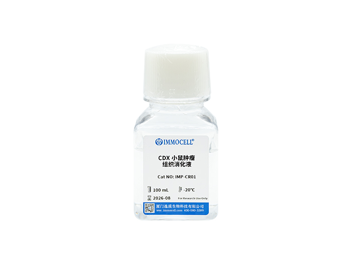 CDX小鼠肿瘤组织消化液