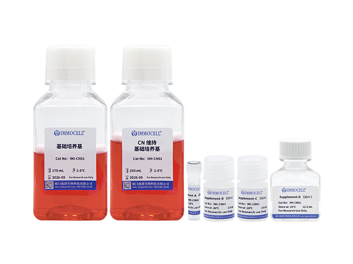 hPSC诱导分化皮质神经元试剂盒