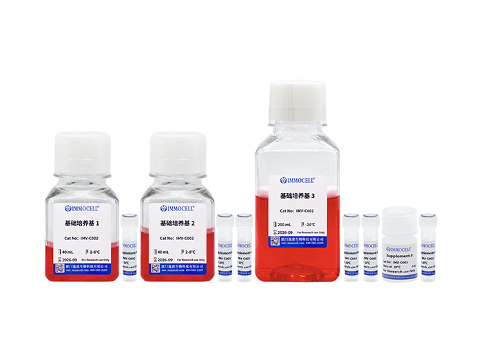 hPSC诱导分化结肠类器官试剂盒