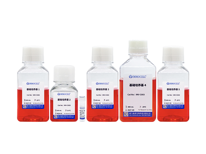 hPSC诱导分化皮质脑类器官试剂盒