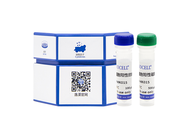 人外周血单核细胞分离试剂盒（阳选）