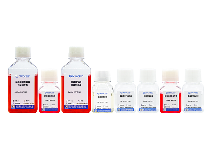 脑胶质瘤类器官培养试剂盒