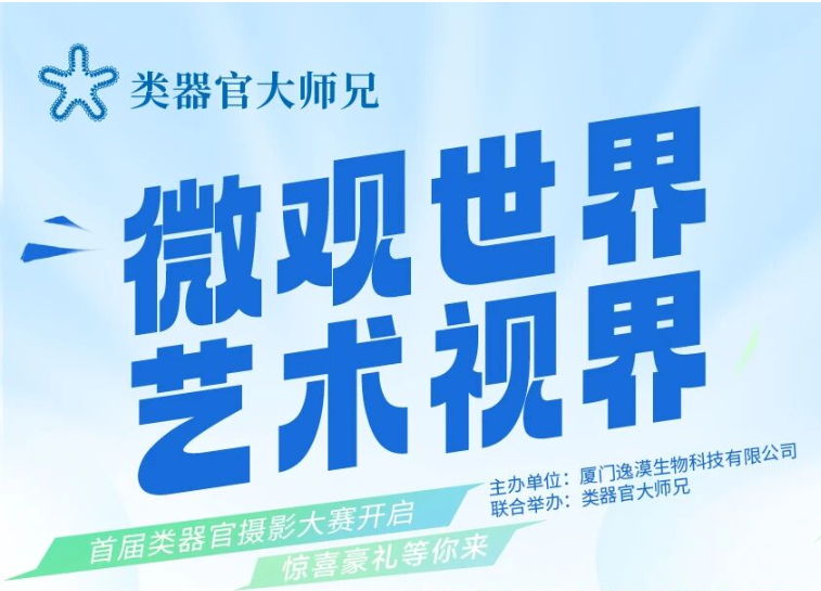 首届类器官摄影大赛火热进行中