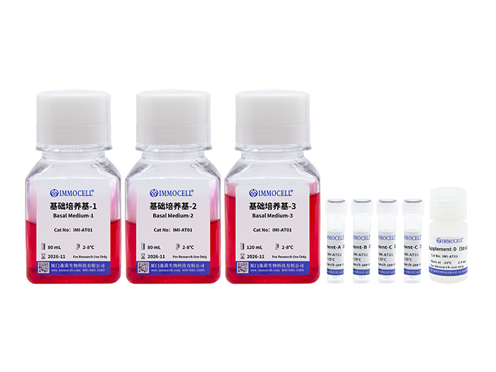 hPSC诱导分化星形胶质细胞(AST)试剂盒