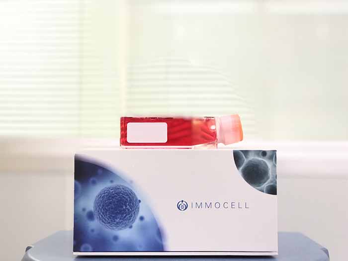 TOPFlash-Luc-EF1a-mCherry HEK293 Cells