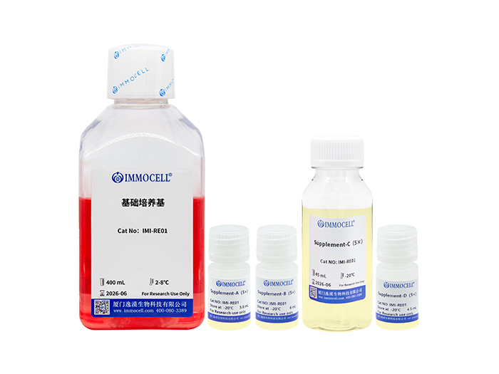 hPSC诱导分化视网膜色素上皮细胞试剂盒