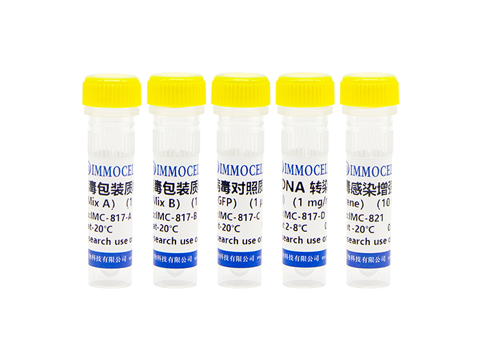 慢病毒包装试剂盒