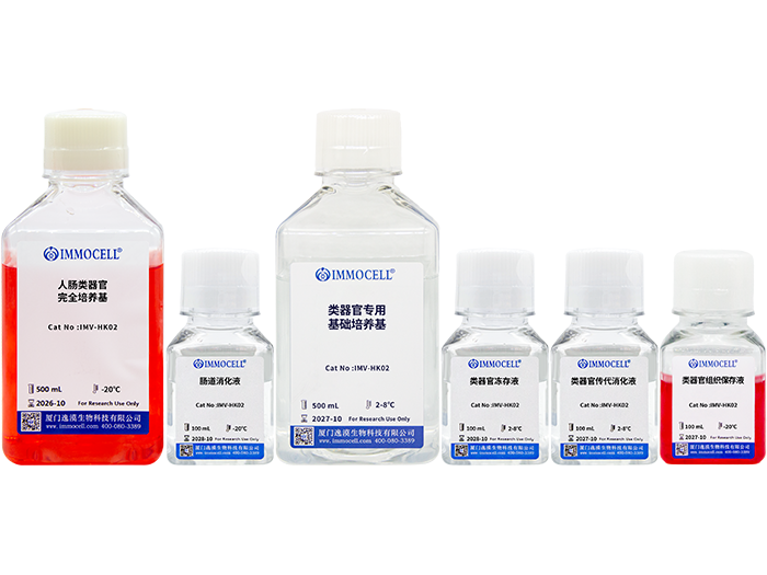 人肠类器官(扩增)原代分离培养套装