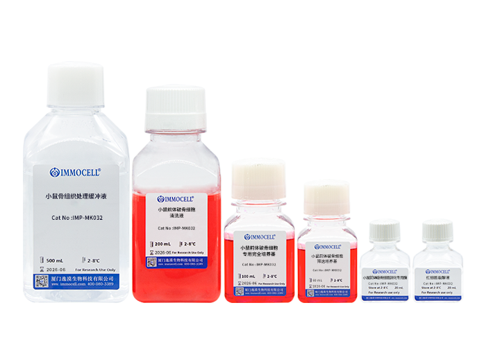 小鼠前体破骨细胞分离试剂盒