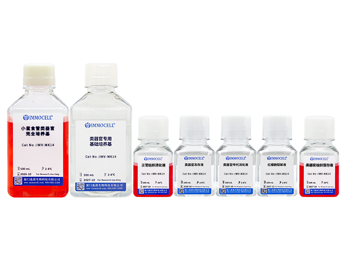 小鼠食管类器官原代分离培养套装