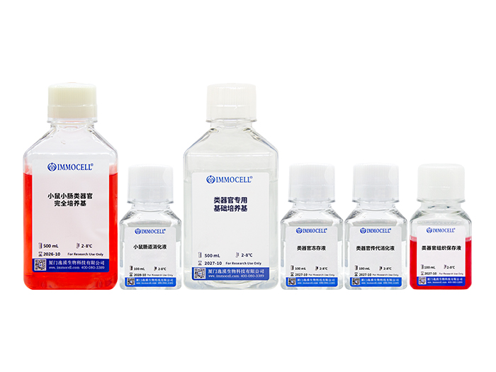 小鼠小肠类器官原代分离培养套装