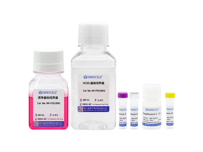 hPSC诱导分化肝实质细胞试剂盒