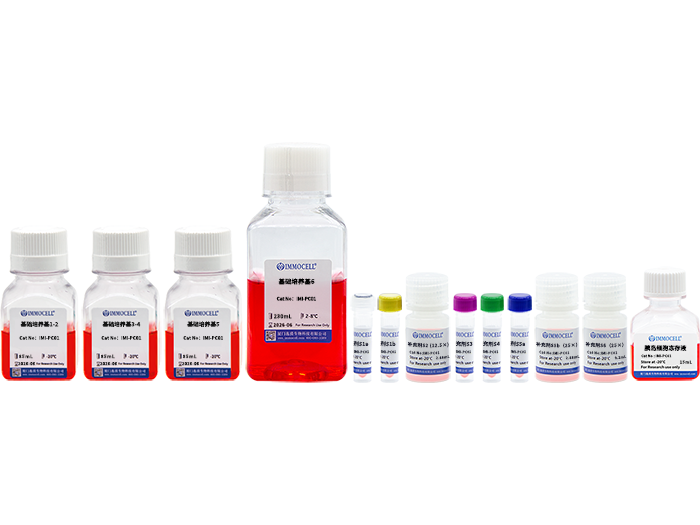 hPSC诱导分化胰岛β细胞试剂盒