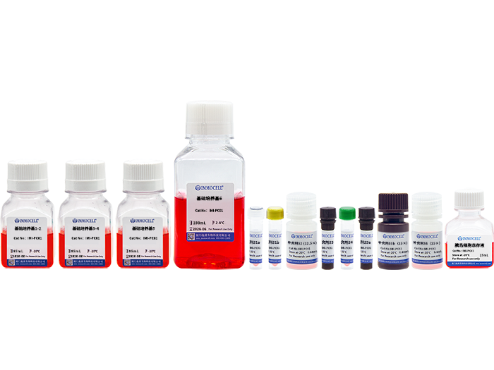 hPSC诱导分化胰岛β细胞试剂盒