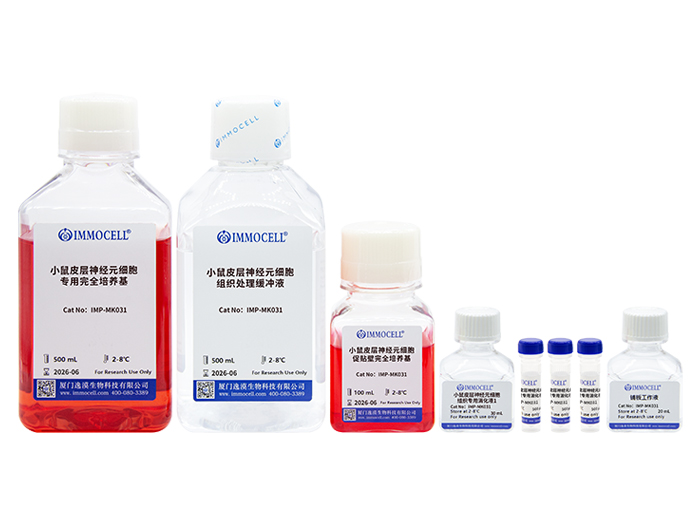 小鼠皮层神经元分离试剂盒
