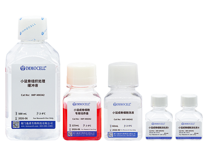 小鼠成骨细胞分离试剂盒